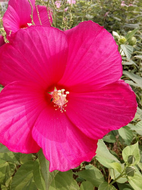 Ψ���Һ�ľܽ��