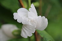 ���ŵĿ���