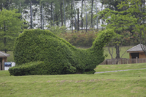 ԰������