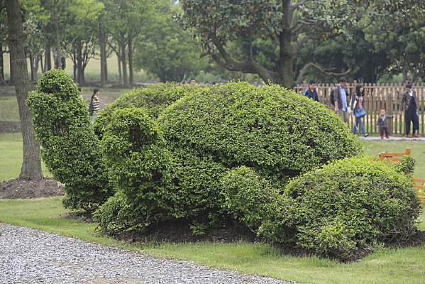 ԰���ڹ꾰��