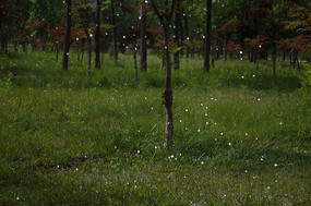 �ݴ����ˮ��