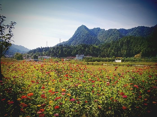 ��ɣ����