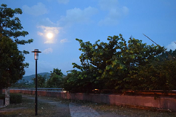 ��԰һ����Ӱ