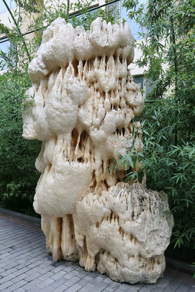 ��ɫ��״����ʯ