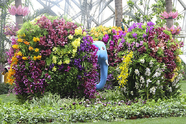 ��չ����