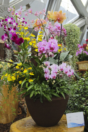 ������������