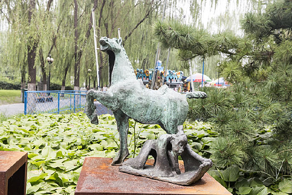 ����ʶ;��������