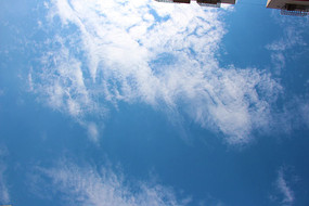 ������������Ʋ�