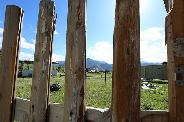 ͸��������ľ�ɫ