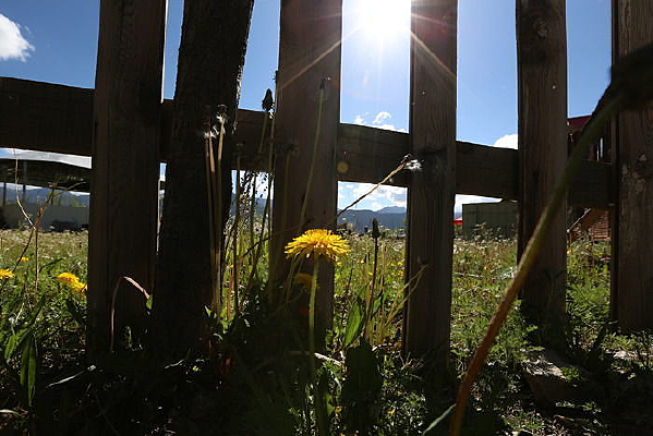 Χ���µ�Ұ��