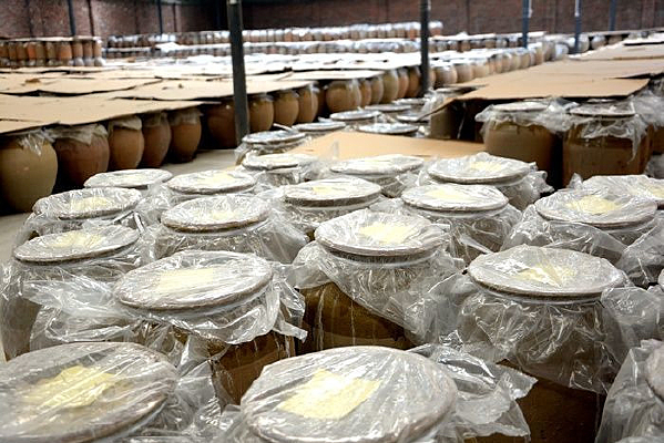 ����ڷŵĶ�����̳��