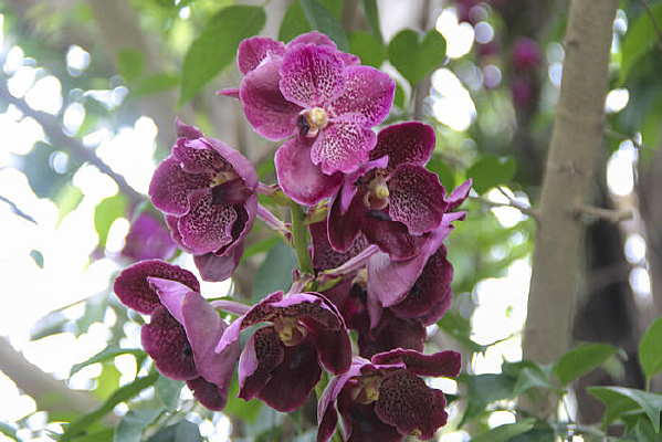 �������