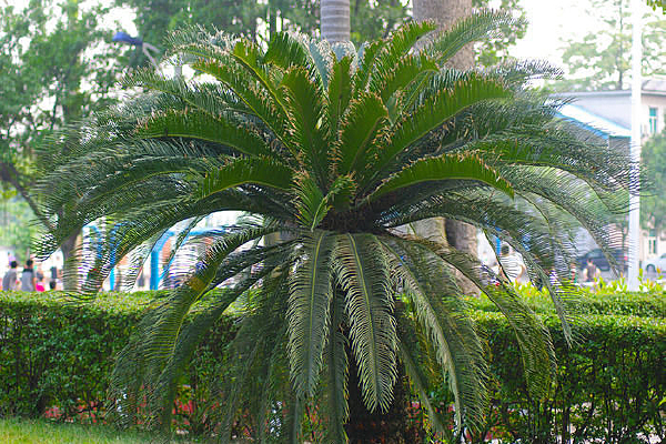 ����Ҭ��