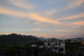 ����ɭ��