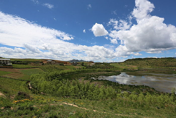 �������Ե���ľ