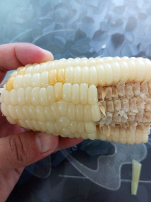 ����������������