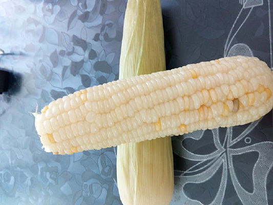 ����������������