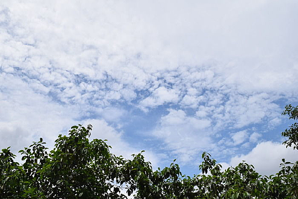 ���������Ӱ