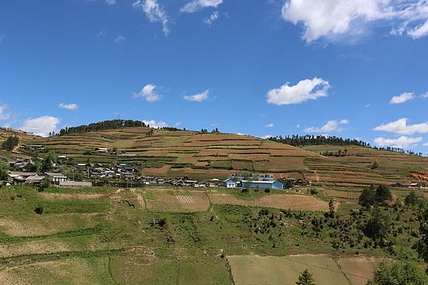 �����µĴ���