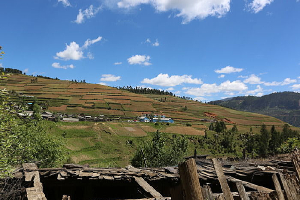 �����µ�����