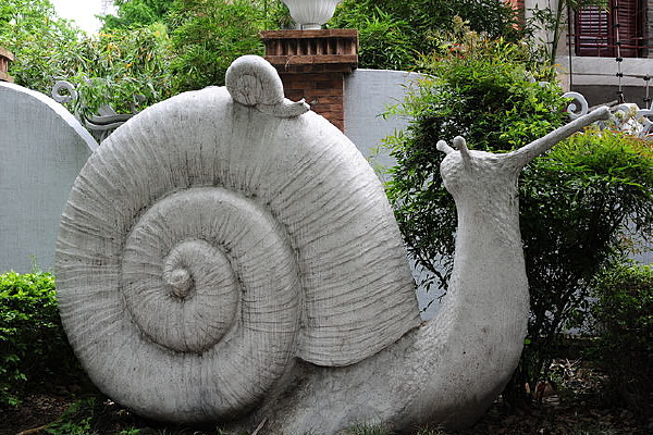 ��������ţ