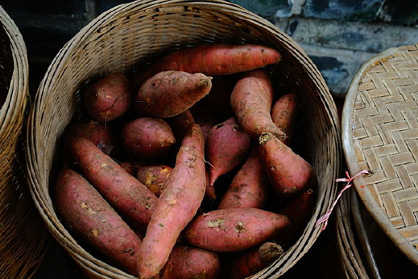 ũ������