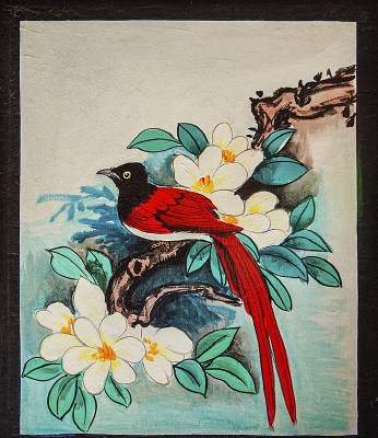 ǽ��ϲȵ�ڻ�