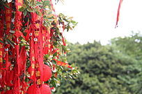 ��Ը����