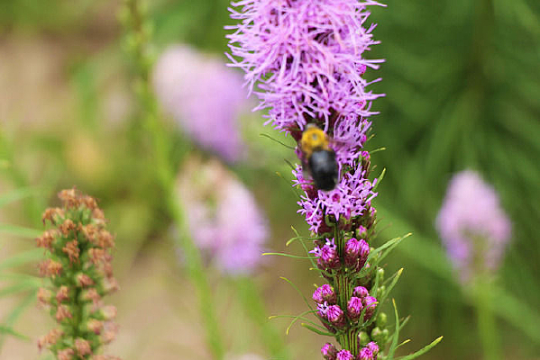 Ψ���λõ��ϻ�