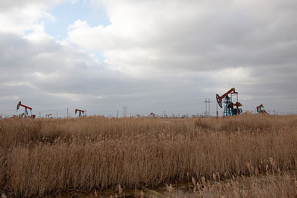 ѩ��������