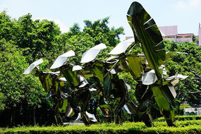 ��������װ��Ʒ