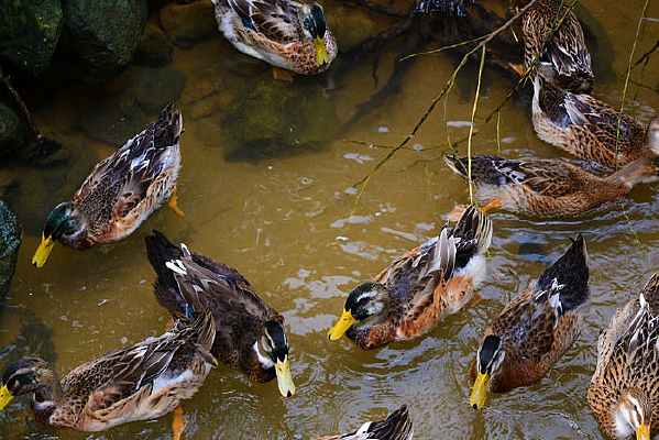 ��Ӿ��Ѽ��