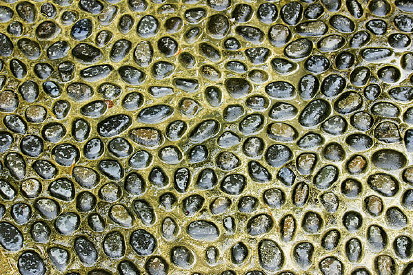 ������ʯ����