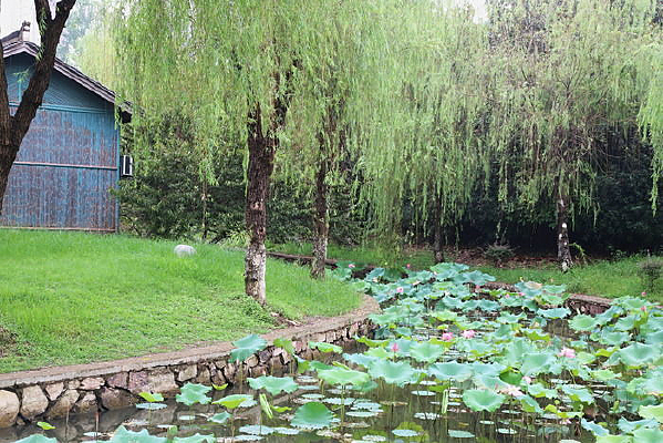 �ɻ������Ե����ӷ���