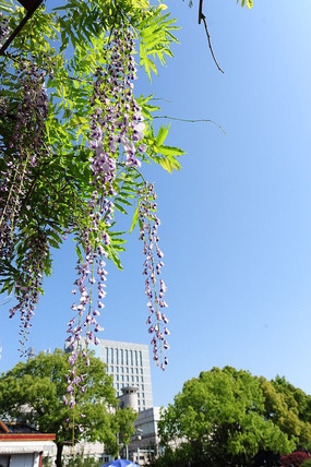 ���е�����