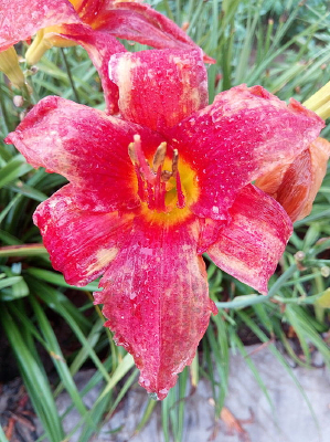 ��ή�Ľ�����