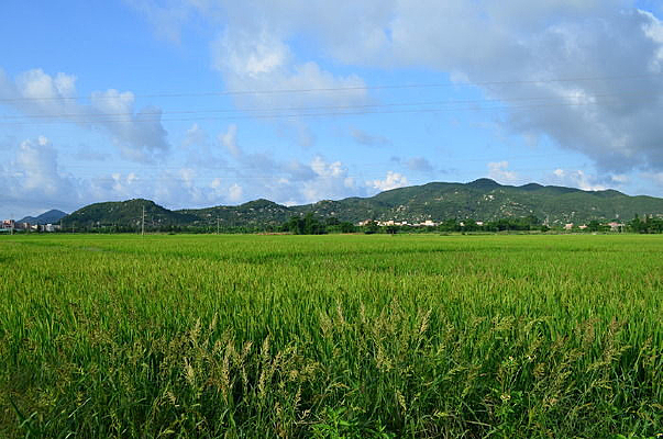 �����͵���Ұ�羰ͼƬ