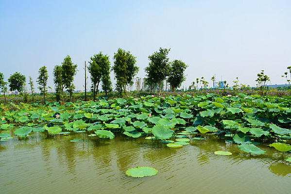 �����ĺɻ���