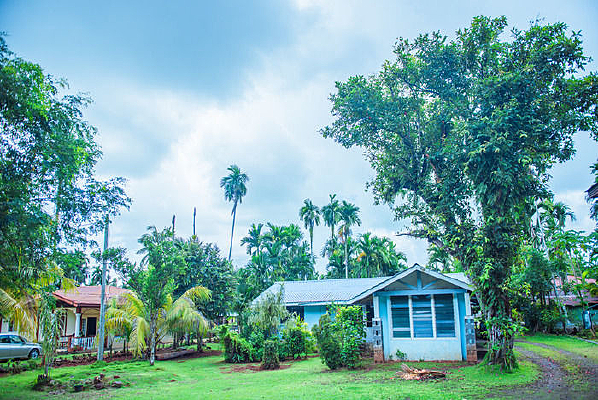 ���͵���С����