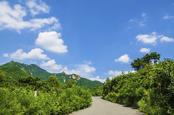 ǧɽ�ŵ��ع�·ɽ�������