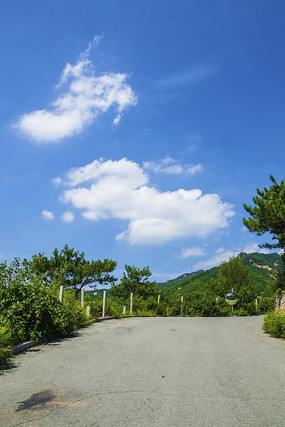 ǧɽ�ŵ��ع�·ɽ����ƬƬ����