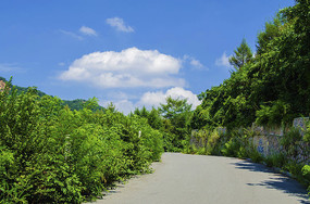 ǧɽ�ŵ��ع�·��ľ�����Ű���