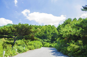 ǧɽ�ŵ��ع�·�������������