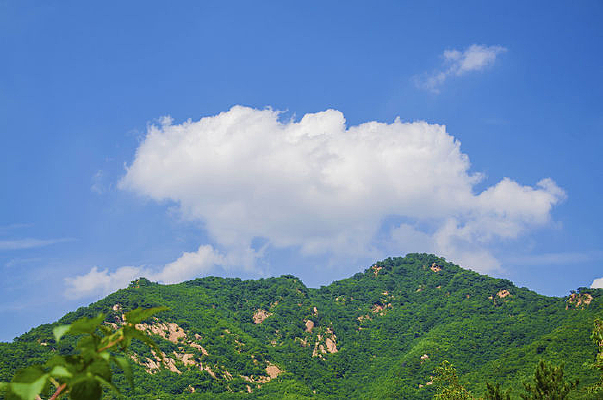 ǧɽ�ŵ���ɽ��ɽ���������