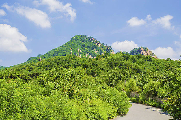 ɽ��������