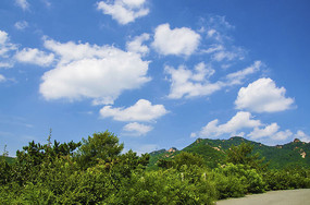 ǧɽ�ŵ���������������