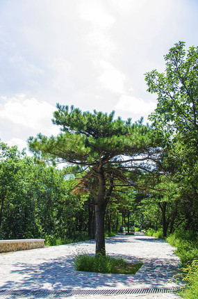 ǧɽ�Դ��������ɽ·