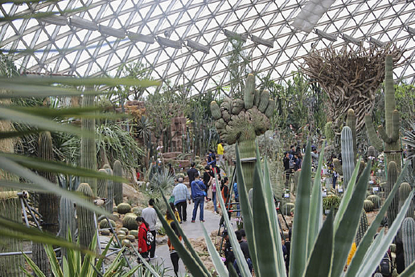 �ȴ�����������