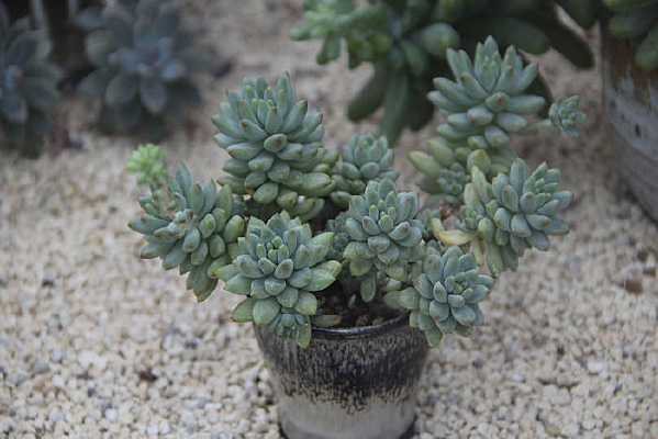 ɳ������