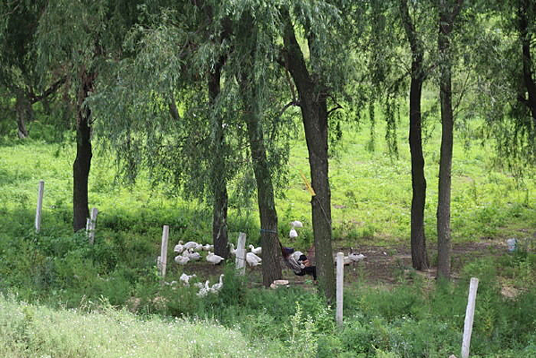 ����������